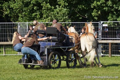 Pferde-und-Fohlenschau-2025-0098