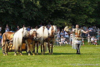 Pferde-und-Fohlenschau-JURA-Volksfest-2023-0172
