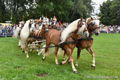 JURA-Volksfest-Pferdeshow-190819-0041
