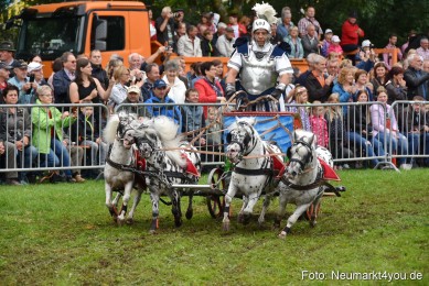 JURA-Volksfest-Pferdeshow-190819-0153