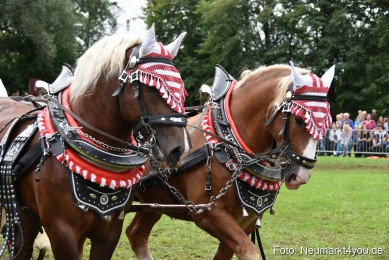JURA-Volksfest-Pferdeshow-190819-0323
