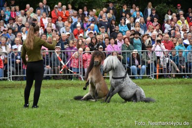 JURA-Volksfest-Pferdeshow-190819-0109