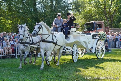 Pferde-und-Fohlenschau-2025-0084