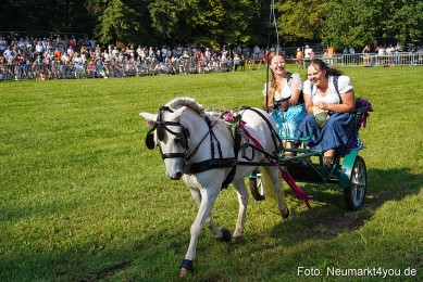 Pferde-und-Fohlenschau-JURA-Volksfest-2023-0035