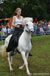 JURA-Volksfest-Pferdeshow-190819-0275
