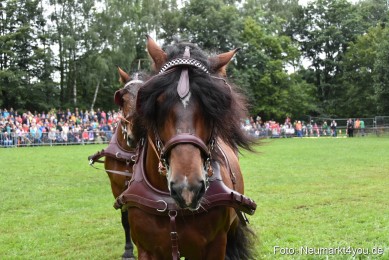 JURA-Volksfest-Pferdeshow-190819-0044