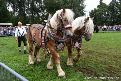 JURA-Volksfest-Pferdeshow-190819-0134