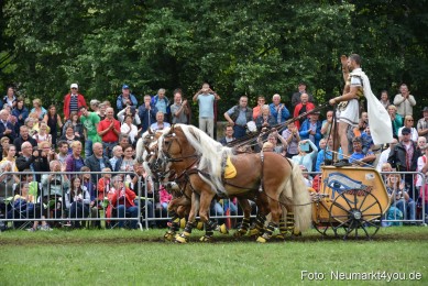 JURA-Volksfest-Pferdeshow-190819-0387