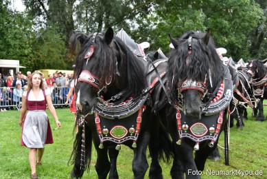 JURA-Volksfest-Pferdeshow-190819-0080