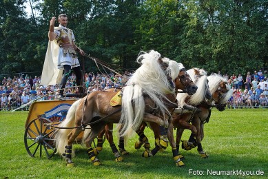 Pferde-und-Fohlenschau-JURA-Volksfest-2023-0177