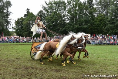 JURA-Volksfest-Pferdeshow-190819-0390