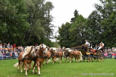 JURA-Volksfest-Pferdeshow-190819-0029