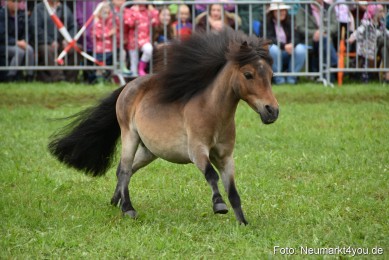 JURA-Volksfest-Pferdeshow-190819-0110