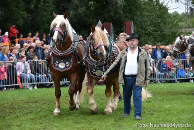 JURA-Volksfest-Pferdeshow-190819-0117