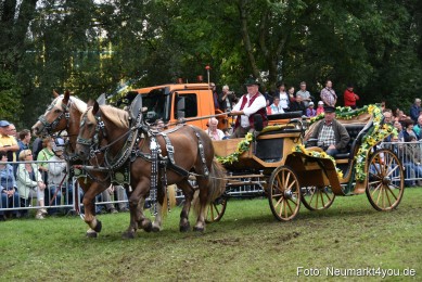 JURA-Volksfest-Pferdeshow-190819-0346