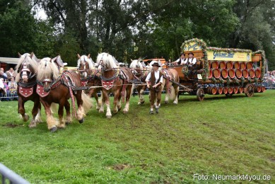 JURA-Volksfest-Pferdeshow-190819-0102