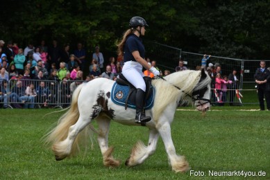 JURA-Volksfest-Pferdeshow-190819-0243