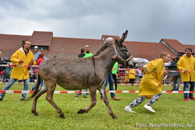 Eselrennen-Fruehlingsfest-2022-0151