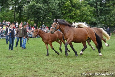 JURA-Volksfest-Pferdeshow-190819-0291
