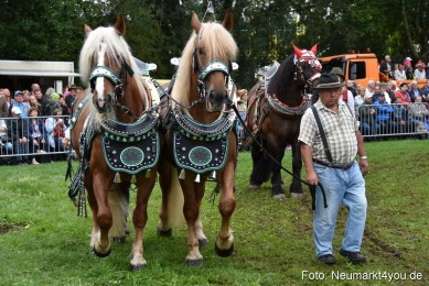 JURA-Volksfest-Pferdeshow-190819-0129