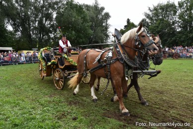 JURA-Volksfest-Pferdeshow-190819-0347