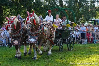 Pferde-und-Fohlenschau-JURA-Volksfest-2023-0119