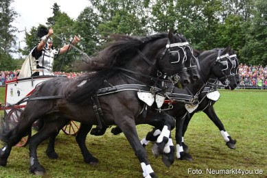 JURA-Volksfest-Pferdeshow-190819-0179