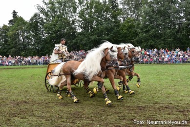 JURA-Volksfest-Pferdeshow-190819-0383