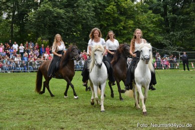 JURA-Volksfest-Pferdeshow-190819-0269