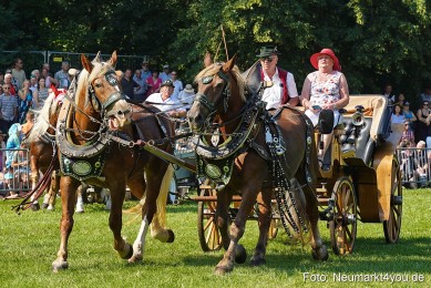 Pferde-und-Fohlenschau-JURA-Volksfest-2023-0126