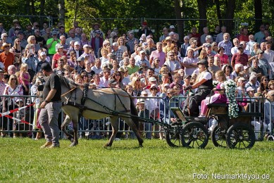 Pferde-und-Fohlenschau-2025-0106