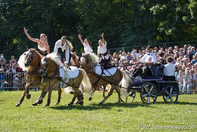 Pferde-und-Fohlenschau-2025-0160