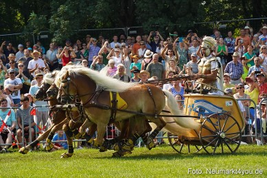 Pferde-und-Fohlenschau-JURA-Volksfest-2023-0169