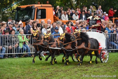 JURA-Volksfest-Pferdeshow-190819-0155