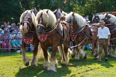 Pferde-und-Fohlenschau-JURA-Volksfest-2023-0185