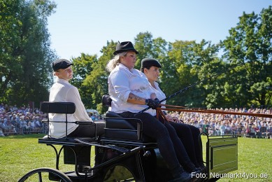 Pferde-und-Fohlenschau-2025-0141
