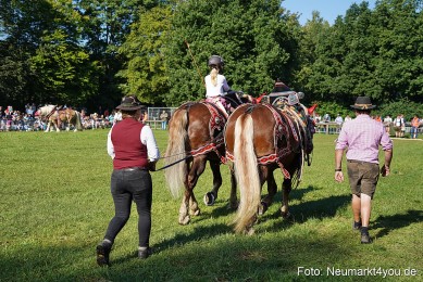 Pferde-und-Fohlenschau-2025-0049