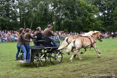 JURA-Volksfest-Pferdeshow-190819-0227