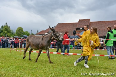 Eselrennen-Fruehlingsfest-2022-0150