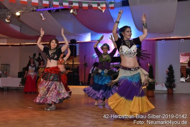 42-Herbstball-Blau-Silber-2019-0142