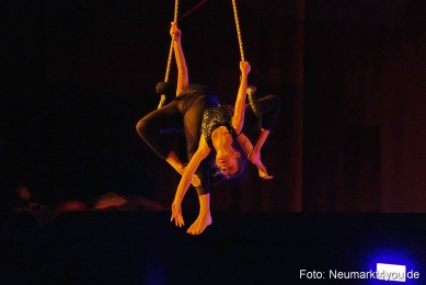 Aladdin-Artico-Neumarkt-0105