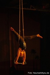 Aladdin-Artico-Neumarkt-0110