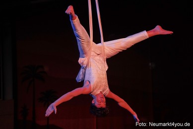 Aladdin-Artico-Neumarkt-0285