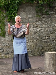 Altstadtfest-Neumarkt-2024-0121