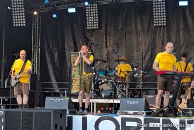 Altstadtfest-Samstag-2025-0020