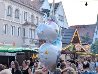 Altstadtfest-Samstag-2025-0028