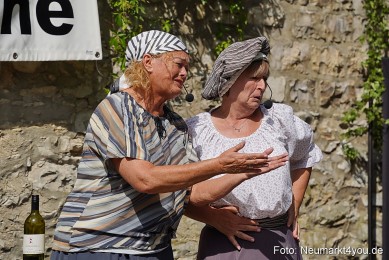 Altstadtfest-Samstag-2025-0118