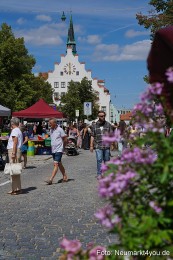 Altstadtflohmarkt-2022-0136