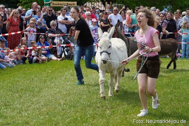 Eselrennen-Fruehlingsfest-2023-0003