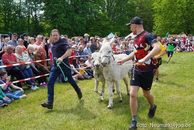 Eselrennen-Fruehlingsfest-2023-0029